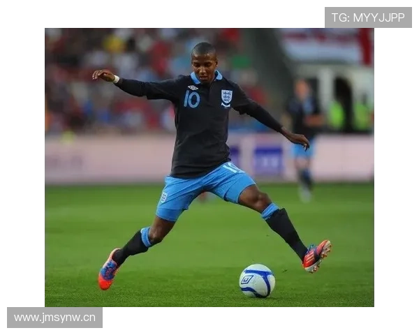 阿什利扬防守能力