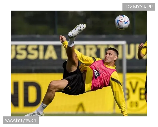 德甲豪门补强方向聚焦中场与防线，引援策略趋于务实